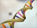 Gen
