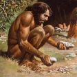 Homo sapiens